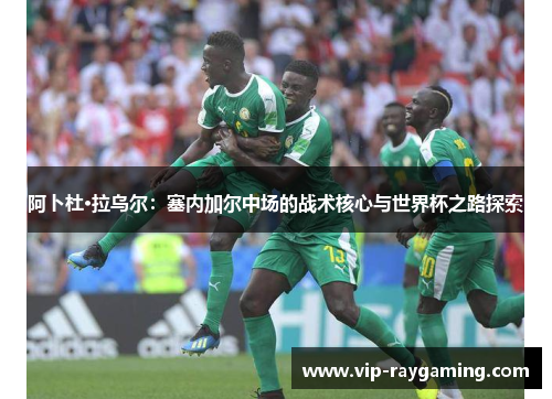 阿卜杜·拉乌尔：塞内加尔中场的战术核心与世界杯之路探索