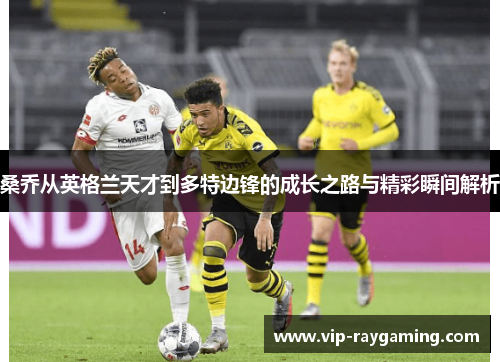 桑乔从英格兰天才到多特边锋的成长之路与精彩瞬间解析