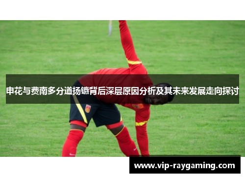 申花与费南多分道扬镳背后深层原因分析及其未来发展走向探讨