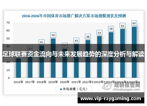 足球联赛资金流向与未来发展趋势的深度分析与解读