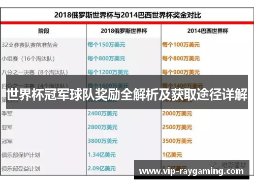 世界杯冠军球队奖励全解析及获取途径详解